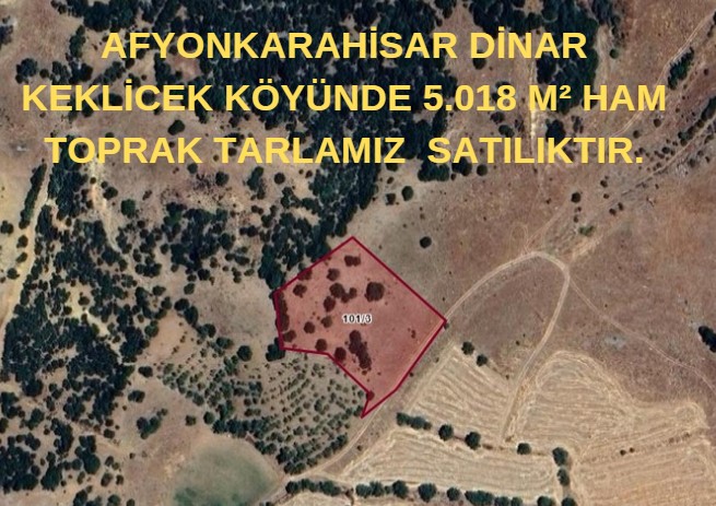 AFYONKARAHİSAR DİNAR KEKLİCEK KÖYÜNDE 5.018 M² HAM TOPRAK TARLAMIZ  SATILIKTIR. - AFYONKARAHİSAR DİNAR fotoğraf 6